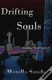Capa do artigo Drifting Souls