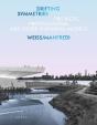 Drifting Symmetries - Preview