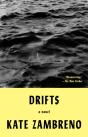 Drifts - Preview