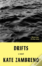 Capa do artigo Drifts