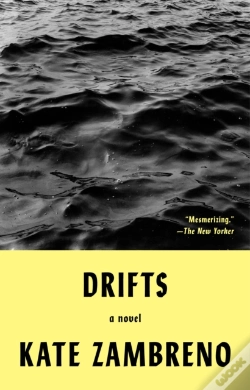 Capa do artigo Drifts