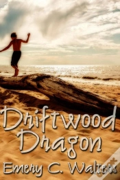 Capa do artigo Driftwood Dragon