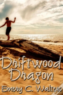 Capa do artigo Driftwood Dragon