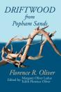 Driftwood From Popham Sands - Preview