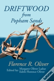 Capa do artigo Driftwood From Popham Sands