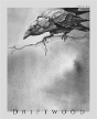 Driftwood Press 6.2 - Preview