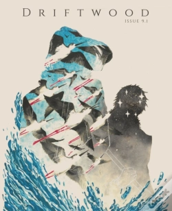 Capa do artigo Driftwood Press 9.1