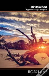 Capa do artigo Driftwood