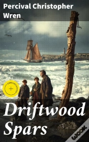 Capa do artigo Driftwood Spars