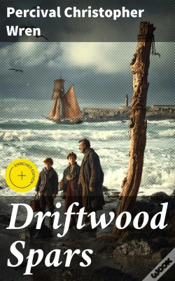 Capa do artigo Driftwood Spars