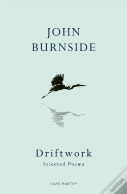 Capa do artigo Driftwork