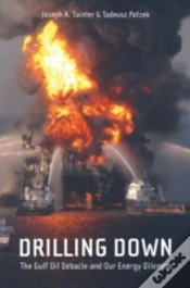 Capa do artigo Drilling Down