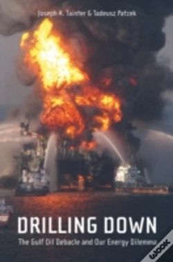 Capa do artigo Drilling Down