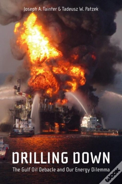 Capa do artigo Drilling Down