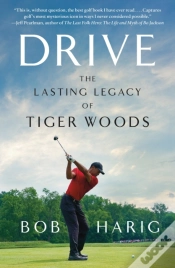 Capa do artigo Drive