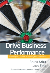 Capa do artigo Drive Business Performance
