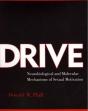 Drive - Preview