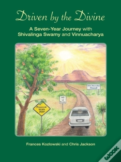 Capa do artigo Driven By The Divine