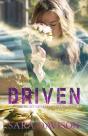Driven - Preview