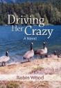 Driving Her Crazy - Preview