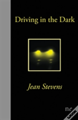 Capa do artigo Driving In The Dark