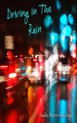 Driving In The Rain