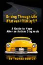 Driving Through Life What Was I Thinking - Preview