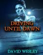 Driving Until Dawn - Preview