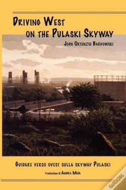 Capa do artigo Driving West On The Pulaski Skyway