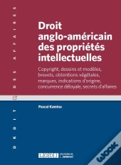 Droit Anglo-Americain Des Proprietes Intellectuelles
