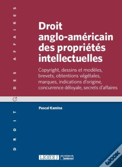 Capa do artigo Droit Anglo-Americain Des Proprietes Intellectuelles