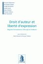 Droit D'Auteur Et Liberté D'Expression ; Regards Francophones, D'Europe Et D'Ailleurs - Preview