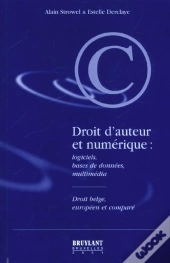 Droit D'Auteur Et Numerique ; Logiciels Bases De Donnees Multimedia