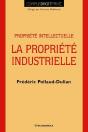 Droit De La Propriete Industrielle - Preview