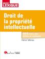 Droit De La Propriete Intellectuelle 2eme Edition - Preview