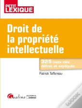 Droit De La Propriete Intellectuelle 2eme Edition