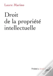 Droit De La Propriete Intellectuelle