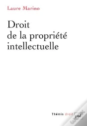 Capa do artigo Droit De La Propriete Intellectuelle