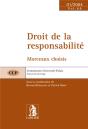 Droit De La Responsabilite Cup 68 - Janvier 2004 - Preview
