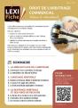 Droit De L'Arbitrage Commercial - Preview