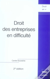 Droit Des Entreprises En Difficulté (Édition 2007)
