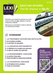 Droit Des Entreprises En Difficulté