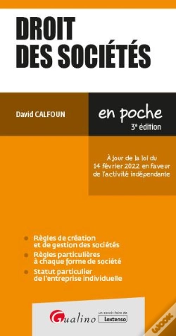 Capa do artigo Droit Des Societes