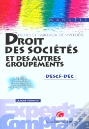 Capa do artigo Droit Des Societes Et Des Autres Groupements ; Fiches Et Tableaux De Synthese ; 5e Edition