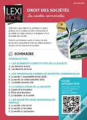 Droit Des Societes