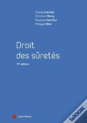 Droit Des Sûretés (11e Édition)