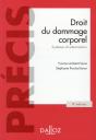 Droit Du Dommage Corporel ; Systèmes D'Indemnisation (8e Édition) - Preview