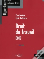 Capa do artigo Droit Du Travail 2013 - 7e Edition