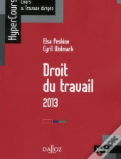 Droit Du Travail 2013 - 7e Edition