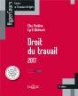 Droit Du Travail 2017 - 11e Ed. - Preview